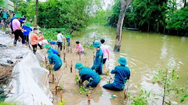 C.P. Vietnam accompanies Dong Thap province to build green embankments to protect land